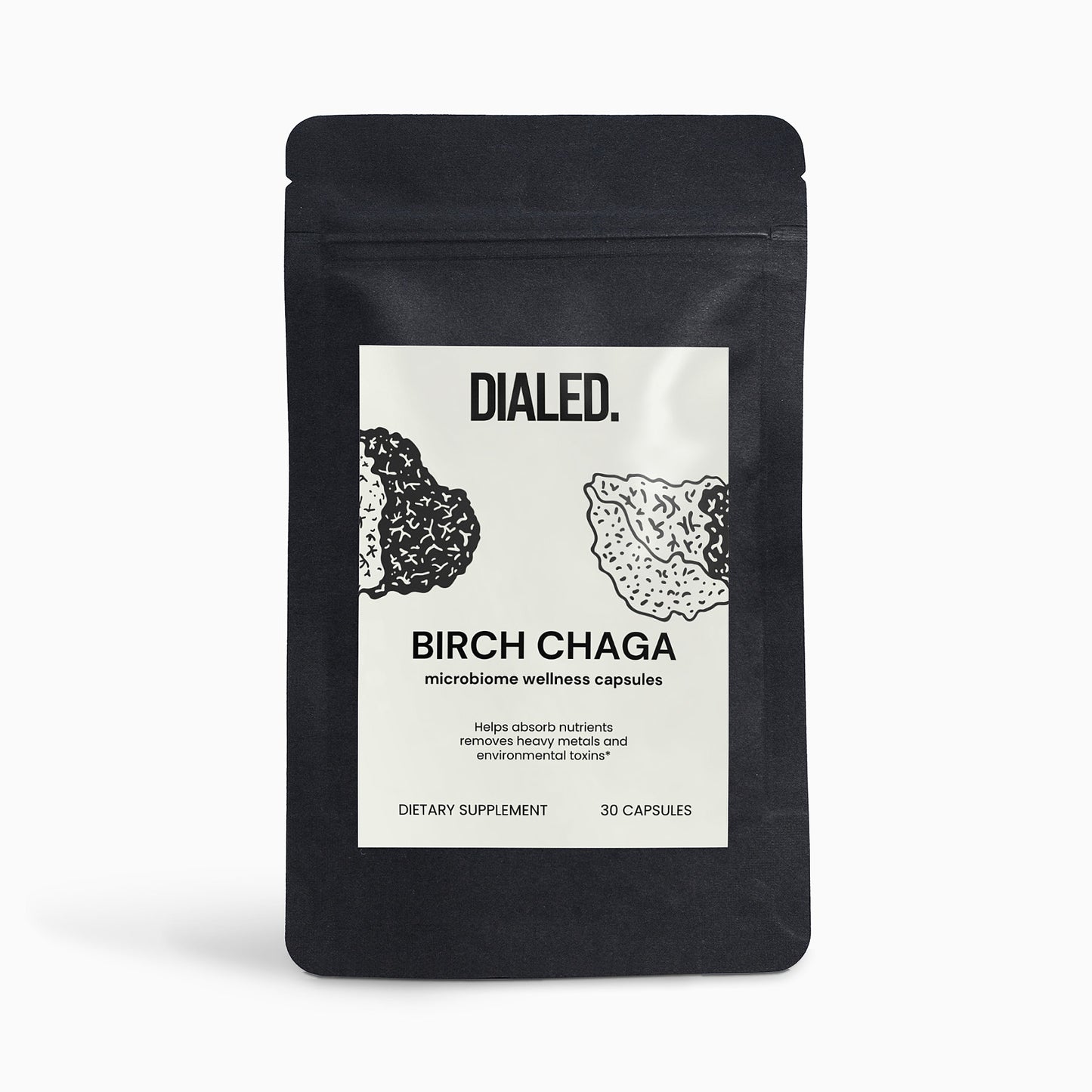 Birch Chaga